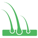 العناية بالشعر