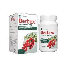 BT pharma berbex 400 mg 60 capsule